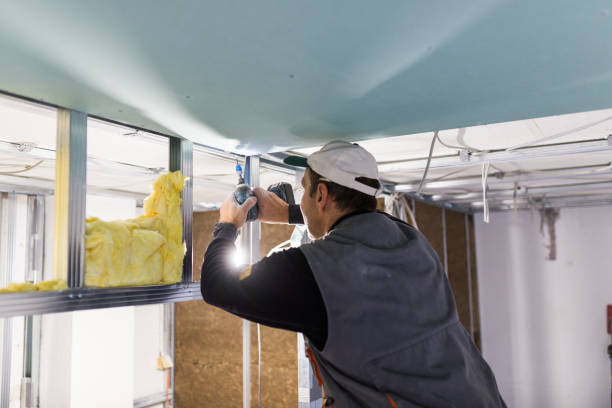 Best Insulation Maintenance and Repair in Hayti, MO