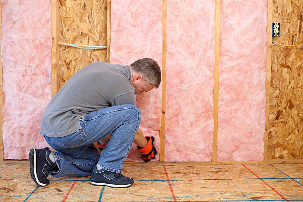 Best Specialized Insulation Services in Hayti, MO